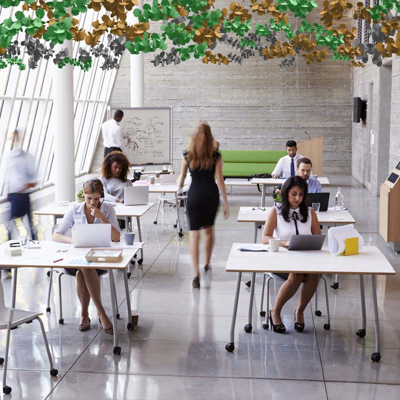  - 14six8 Dew Acoustic Raft (Sold in Packs) - Muffle Acoustics Limited 