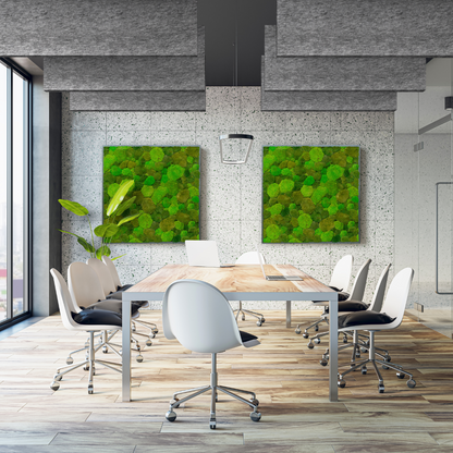 MuffleTone | Baffle (Sold in Packs)