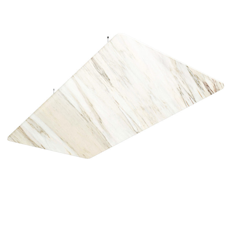  - Autex Horizon™ Suspended Acoustic Raft - Rectangle - Muffle Acoustics Limited 