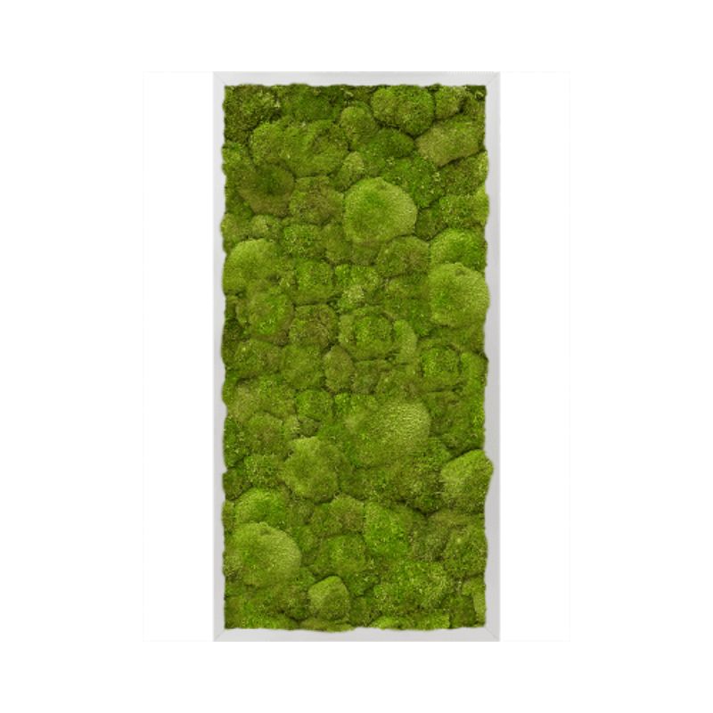 Panel de pared rectangular MuffleMoss - Bollo