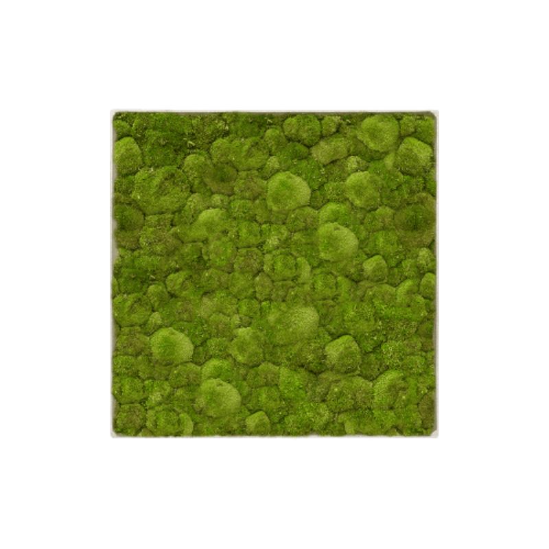 Panel de pared cuadrado MuffleMoss - Bollo