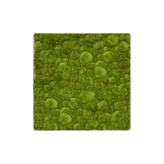 Panel de pared cuadrado MuffleMoss - Bollo