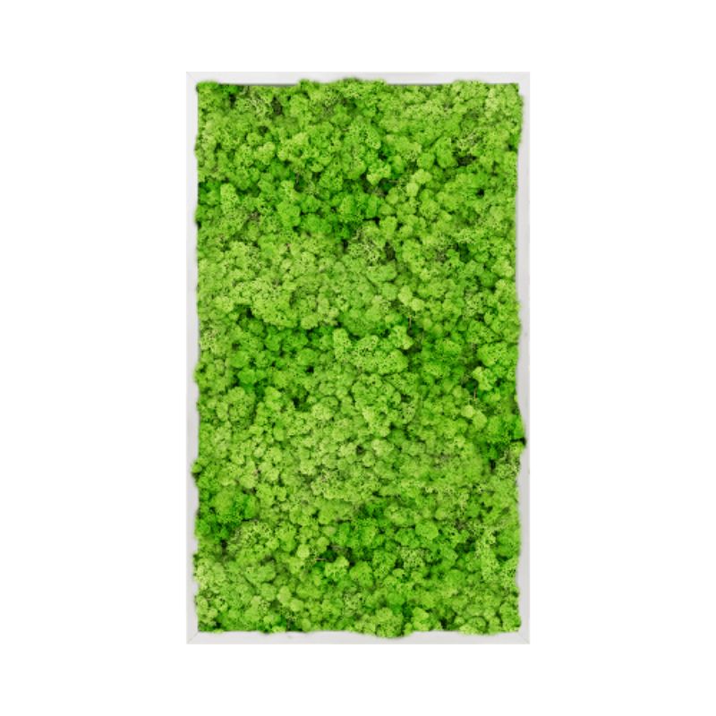 Panel de pared rectangular MuffleMoss - Reno